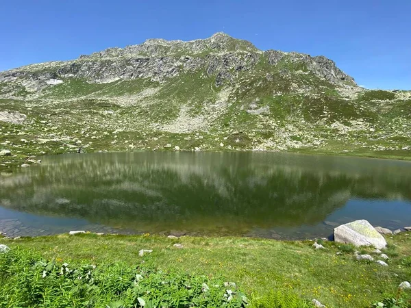 Atmosphère Estivale Sur Lac Des Morts Totensee Dans Région Alpine — Photo