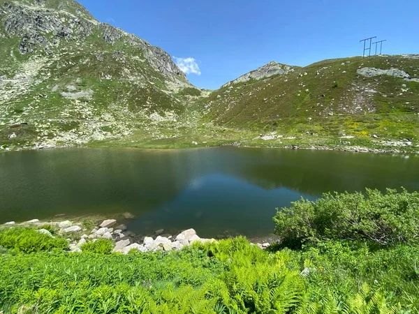 Ambiente Verão Lago Dei Morti Lago Dos Mortos Totensee Área — Fotografia de Stock