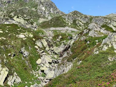 İsviçre 'de yaz mevsiminde ve St. Gotthard geçidinde (Gotthardpass) kayalar ve taşlar, Airolo - Ticino Kantonu (Tessin), İsviçre (Schweiz)