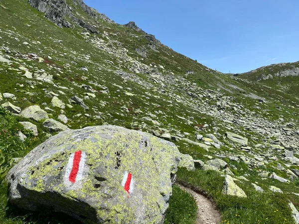 Turistaösvények Vagy Hegymászó Útvonalak Nyári Svájci Alpesi Környezetben Szent Gotthárd — Stock Fotó