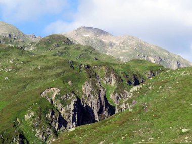 St. Gotthard Geçidi 'nin (Gotthard Geçidi) dağlık alanındaki yüksek dağlık İsviçre çayırlarında yaz atmosferi, Airolo - Ticino Kantonu (Tessin), İsviçre (Schweiz)