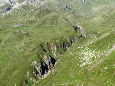 St. Gotthard Geçidi 'nin (Gotthard Geçidi) dağlık alanındaki yüksek dağlık İsviçre çayırlarında yaz atmosferi, Airolo - Ticino Kantonu (Tessin), İsviçre (Schweiz)