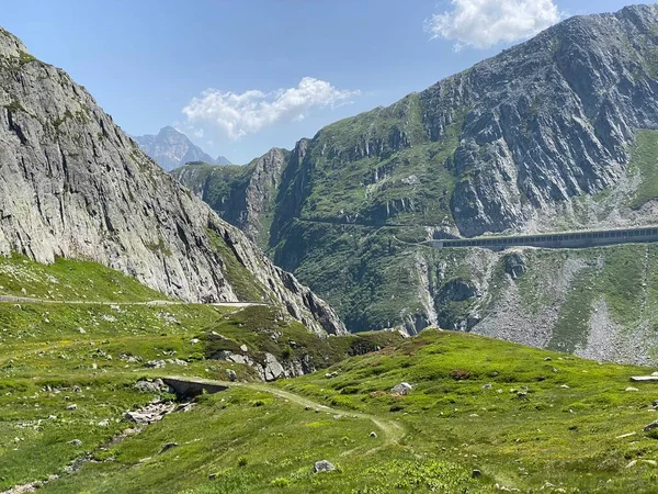 Ambiente Verano Los Altos Pastos Alpinos Suizos Zona Montañosa Del — Foto de Stock