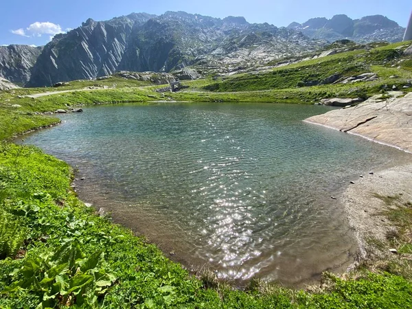Sommerstimmung Lago Dei Banchi Oder Banchi See Schweizer Alpenraum Des — Stockfoto