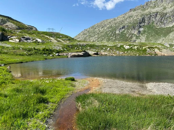 Ambiente Verano Lago Dei Banchi Lago Banchi Zona Alpina Suiza —  Fotos de Stock