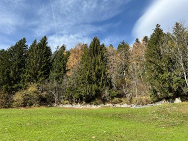 İsviçre Alpleri, Ilanz - İsviçre Grison Kantonu (Kanton Graubunden, Schweiz)