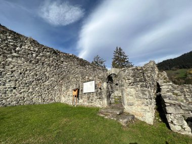 Jorgenberg Şatosu (Joergenberg Şatosu) veya Casti Munt Sogn Gieri (Burgruine Munt Sogn Gieri), Waltensburg - Grisons Kantonu, İsviçre (Kanton Graubuenden, Schweiz)