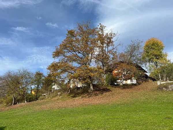 스위스의 전통적 나무로 고산장에서의 환경에 스위스의 전통적 스위스의 알프스 바이츠 — 스톡 사진