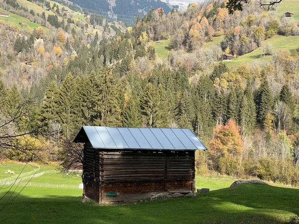 Arquitectura Tradicional Suiza Casas Alpinas Madera Ambiente Otoñal Pastos Montaña — Foto de Stock