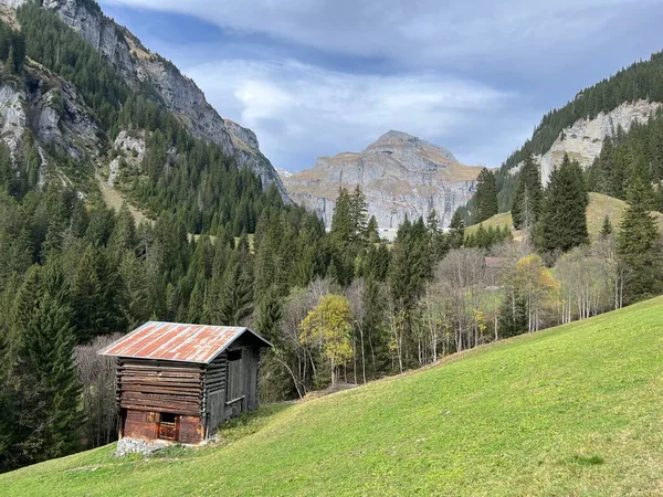 山の牧草地やスイスアルプスの混合林の秋の環境の伝統的なスイスの建築と木造高山の家 イラン グリソンのカントン スイス スイス — ストック写真