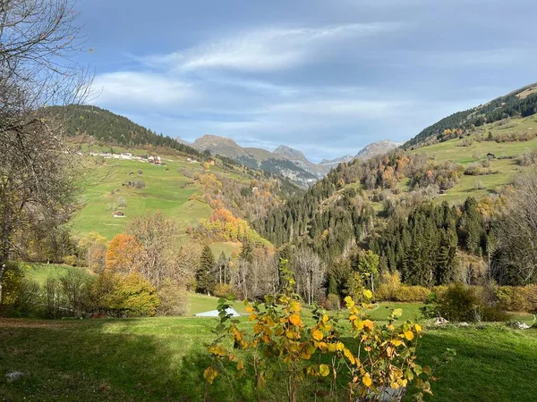 山の牧草地やスイスアルプスの斜面の混合林の周りに壮大な秋の色 イランツ グリソンカントン スイス カントンGrubunden スイス — ストック写真