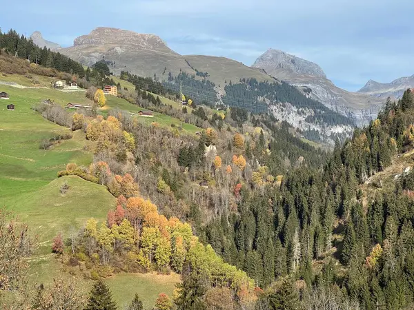 Prächtige Herbstfarben Der Umgebung Von Almen Und Mischwäldern Den Hängen — Stockfoto