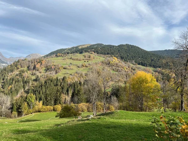 Nádherné Podzimní Barvy Okolí Horských Pastvin Smíšených Lesů Svazích Švýcarských — Stock fotografie