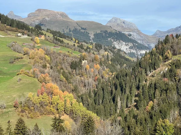 Wspaniałe Kolory Jesieni Otoczeniu Pastwisk Górskich Lasów Mieszanych Zboczach Alp — Zdjęcie stockowe