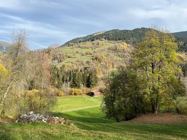 Magnifika Höstfärger Närheten Betesmarker Och Blandskogar Schweiziska Alpernas Sluttningar Ilanz — Stockfoto