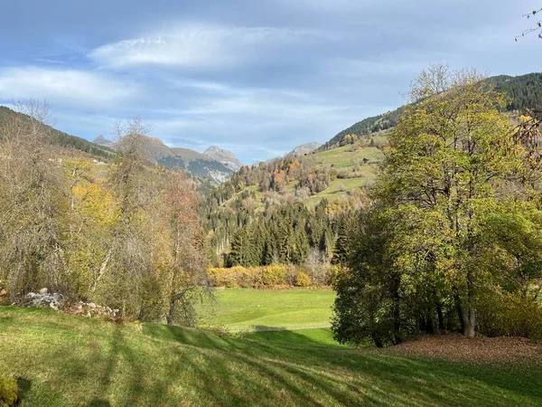 山の牧草地やスイスアルプスの斜面の混合林の周りに壮大な秋の色 イランツ グリソンカントン スイス カントンGrubunden スイス — ストック写真