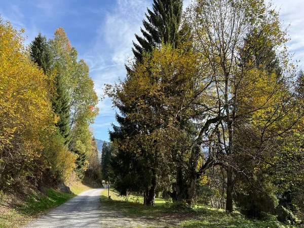 stock image The autumn ambience of hiking trails and tourist-recreational walkways on the slopes of the Swiss Alps, Ilanz - Canton of Grisons, Switzerland (Kanton Graubnden, Schweiz)