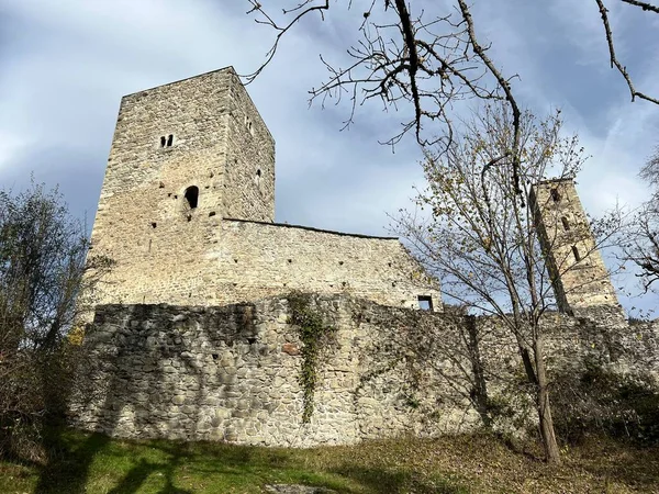 Schloss Jorgenberg Oder Casti Munt Sogn Gieri Waltensburg Kanton Graubünden — Stockfoto