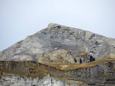 Rocky alp zirvesi Piz Fluaz (2814 m) Panixersee gölünün üzerinde ve Glarus Alpleri dağ kütlesi, Pigniu-Panix - Kanton of Grisons, İsviçre (Kanton Graubuenden, Schweiz)
