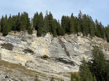 Panixersee gölünün (Lag da Pigniu) ya da Panixer Gölü 'nün yamaçlarındaki dik kayalıklar ve dikey kayalar Glarus Alpleri dağ kitlesi, Pigniu-Panix - İsviçre' nin Grisonlar Kantonu (Schweiz)