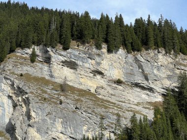 Panixersee gölünün (Lag da Pigniu) ya da Panixer Gölü 'nün yamaçlarındaki dik kayalıklar ve dikey kayalar Glarus Alpleri dağ kitlesi, Pigniu-Panix - İsviçre' nin Grisonlar Kantonu (Schweiz)