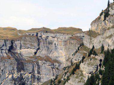 Panixersee gölünün (Lag da Pigniu) ya da Panixer Gölü 'nün yamaçlarındaki dik kayalıklar ve dikey kayalar Glarus Alpleri dağ kitlesi, Pigniu-Panix - İsviçre' nin Grisonlar Kantonu (Schweiz)