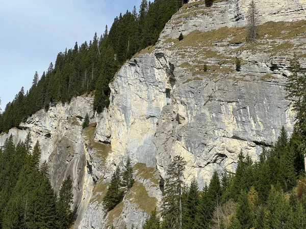 貯水池湖Panixersee Lag Pigniu またはPanixer湖の上の急な石崖と垂直岩グラスアルプスの山塊の斜面にあるPanixer湖 Pigniu Panix Canton Grisons Switzerland スイス — ストック写真