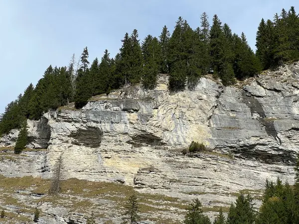 瑞士格拉斯哥 潘尼克斯州 施韦兹 Glarus阿尔卑斯山脉地块斜坡上的Panixersee湖 Lag Pignition 或Panixer湖上的陡峭石崖和垂直岩石 — 图库照片