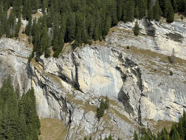 Απόκρημνοι Βράχοι Και Κατακόρυφοι Βράχοι Πάνω Από Λίμνη Ταμιευτήρα Panixersee — Φωτογραφία Αρχείου