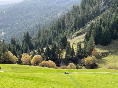 Panixersee (Lag da Pigniu) - Grisonlar Kantonu (Kanton Graubuenden, Schweiz)