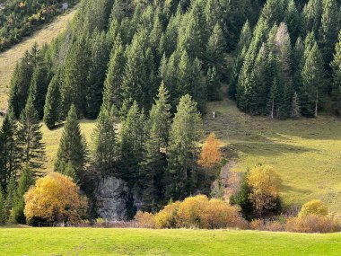 Panixersee (Lag da Pigniu) - Grisonlar Kantonu (Kanton Graubuenden, Schweiz)