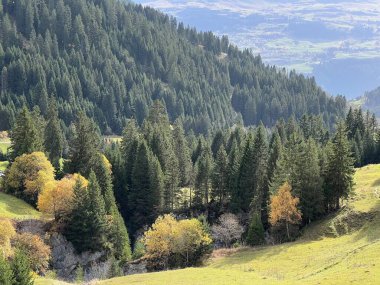 Panixersee (Lag da Pigniu) - Grisonlar Kantonu (Kanton Graubuenden, Schweiz)