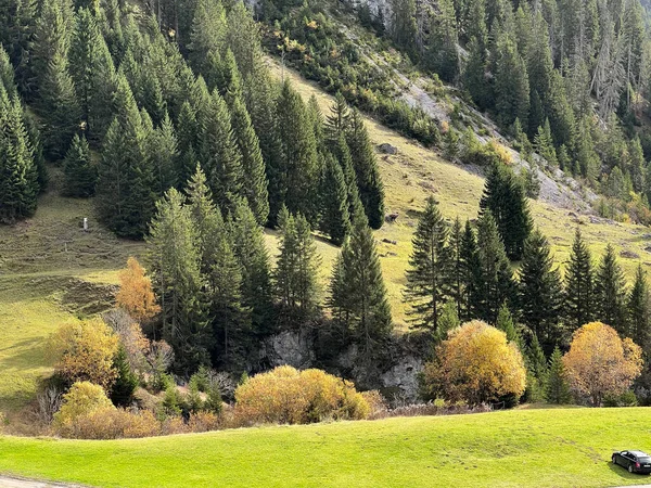 스위스의 알프스 저수지 목초지와 뒤섞여 그루부덴 Kanton Graubuenden — 스톡 사진