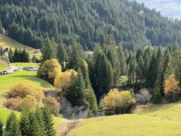 Wspaniałe Jesienne Kolory Otoczeniu Pastwisk Górskich Lasów Mieszanych Przy Szwajcarskim — Zdjęcie stockowe