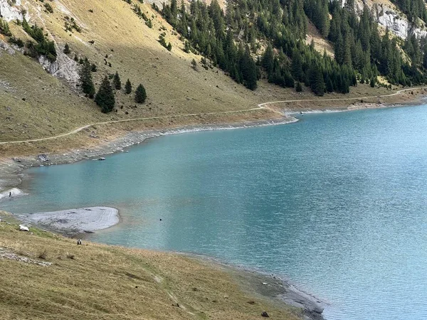 Λίμνη Ταμιευτήρα Panixersee Lag Pigniu Λίμνη Panixer Στις Πλαγιές Των — Φωτογραφία Αρχείου