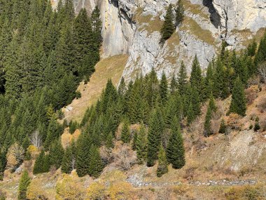 Panixersee (Lag da Pigniu), Glarus Alpleri dağ kitlesi, Pigniu-Panix - İsviçre 'nin Grisons Kantonu (Kanton Graubuenden, Schweiz))