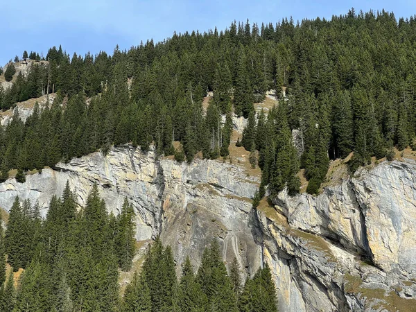 Panixersee (Lag da Pigniu), Glarus Alpleri dağ kitlesi, Pigniu-Panix - İsviçre 'nin Grisons Kantonu (Kanton Graubuenden, Schweiz))