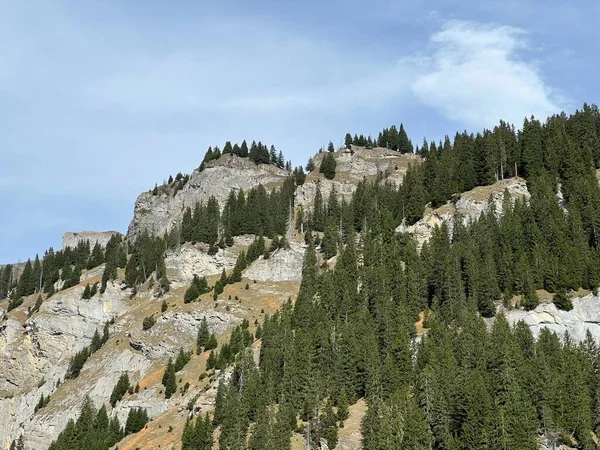 Forêt Conifères Alpine Sur Des Falaises Escarpées Dessus Lac Réservoir — Photo
