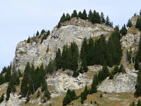 Forêt Conifères Alpine Sur Des Falaises Escarpées Dessus Lac Réservoir — Photo