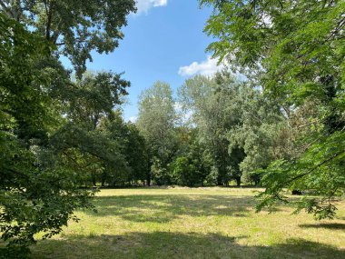 Nasice 'deki Pejaceviç şatosunun parkı veya Pejaceviç ailesinin kalesinin yanına park etmek - Slavonya, Hırvatistan (Park dvorca Pejaceviç u Nasicama ili Perivoj uz dvorac obitelji Pejaceviç, Nasice - Slavonija, Hrvatska)