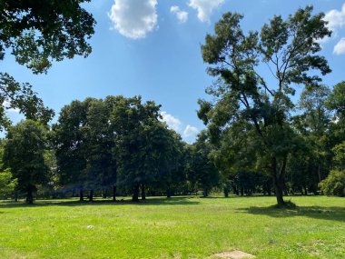 Nasice 'deki Pejaceviç şatosunun parkı veya Pejaceviç ailesinin kalesinin yanına park etmek - Slavonya, Hırvatistan (Park dvorca Pejaceviç u Nasicama ili Perivoj uz dvorac obitelji Pejaceviç, Nasice - Slavonija, Hrvatska)