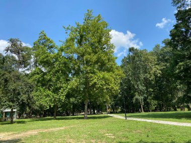 Nasice 'deki Pejaceviç şatosunun parkı veya Pejaceviç ailesinin kalesinin yanına park etmek - Slavonya, Hırvatistan (Park dvorca Pejaceviç u Nasicama ili Perivoj uz dvorac obitelji Pejaceviç, Nasice - Slavonija, Hrvatska)