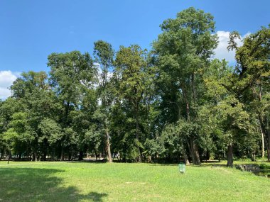 Nasice 'deki Pejaceviç şatosunun parkı veya Pejaceviç ailesinin kalesinin yanına park etmek - Slavonya, Hırvatistan (Park dvorca Pejaceviç u Nasicama ili Perivoj uz dvorac obitelji Pejaceviç, Nasice - Slavonija, Hrvatska)