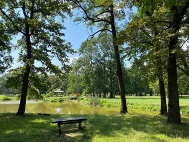 Nasice 'deki Pejaceviç şatosunun parkı veya Pejaceviç ailesinin kalesinin yanına park etmek - Slavonya, Hırvatistan (Park dvorca Pejaceviç u Nasicama ili Perivoj uz dvorac obitelji Pejaceviç, Nasice - Slavonija, Hrvatska)