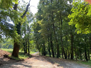 Nasice 'deki Pejaceviç şatosunun parkı veya Pejaceviç ailesinin kalesinin yanına park etmek - Slavonya, Hırvatistan (Park dvorca Pejaceviç u Nasicama ili Perivoj uz dvorac obitelji Pejaceviç, Nasice - Slavonija, Hrvatska)