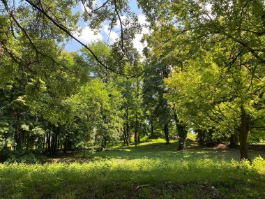 Nasice 'deki Pejaceviç şatosunun parkı veya Pejaceviç ailesinin kalesinin yanına park etmek - Slavonya, Hırvatistan (Park dvorca Pejaceviç u Nasicama ili Perivoj uz dvorac obitelji Pejaceviç, Nasice - Slavonija, Hrvatska)