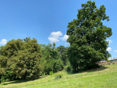 Nasice 'deki Pejaceviç şatosunun parkı veya Pejaceviç ailesinin kalesinin yanına park etmek - Slavonya, Hırvatistan (Park dvorca Pejaceviç u Nasicama ili Perivoj uz dvorac obitelji Pejaceviç, Nasice - Slavonija, Hrvatska)