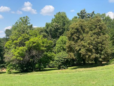 Nasice 'deki Pejaceviç şatosunun parkı veya Pejaceviç ailesinin kalesinin yanına park etmek - Slavonya, Hırvatistan (Park dvorca Pejaceviç u Nasicama ili Perivoj uz dvorac obitelji Pejaceviç, Nasice - Slavonija, Hrvatska)