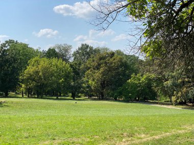 Nasice 'deki Pejaceviç şatosunun parkı veya Pejaceviç ailesinin kalesinin yanına park etmek - Slavonya, Hırvatistan (Park dvorca Pejaceviç u Nasicama ili Perivoj uz dvorac obitelji Pejaceviç, Nasice - Slavonija, Hrvatska)