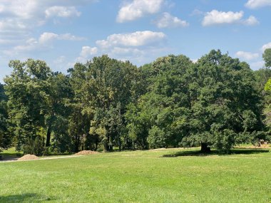 Nasice 'deki Pejaceviç şatosunun parkı veya Pejaceviç ailesinin kalesinin yanına park etmek - Slavonya, Hırvatistan (Park dvorca Pejaceviç u Nasicama ili Perivoj uz dvorac obitelji Pejaceviç, Nasice - Slavonija, Hrvatska)